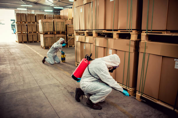 Best Best Pest Control Companies  in Corrales, NM