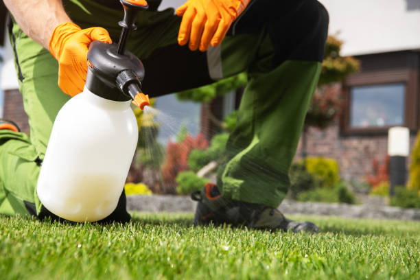 Professional Pest Control in Corrales, NM