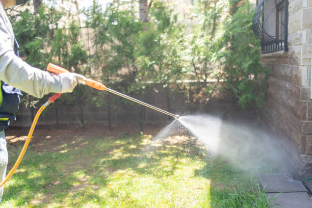 Best Pest Prevention Services  in Corrales, NM
