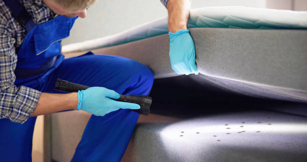 Best Pest Removal Services  in Corrales, NM