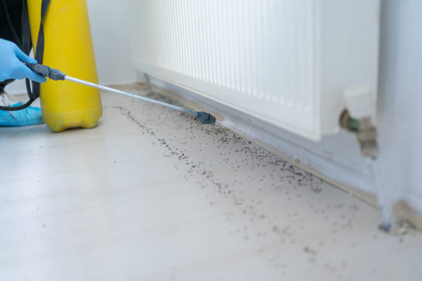 Best Wildlife Control Services  in Corrales, NM